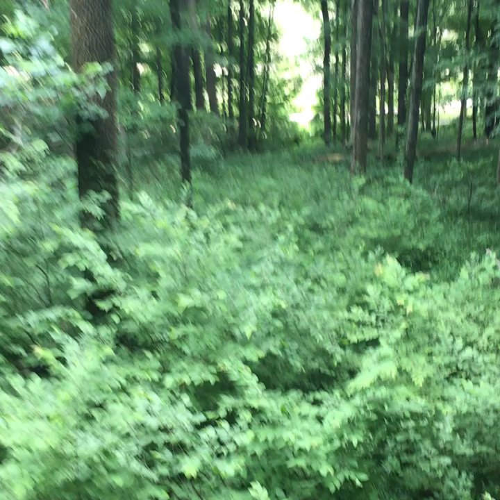 Lark Valley Zip Lines - Almost 40 mph!!!! - Hiking Near Me - Shoals, Indiana