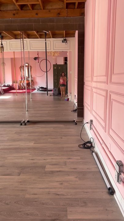 Louvre LA - This Pole and Aerial Heaven! - Aerial Fitness Near Me - Los Angeles, California