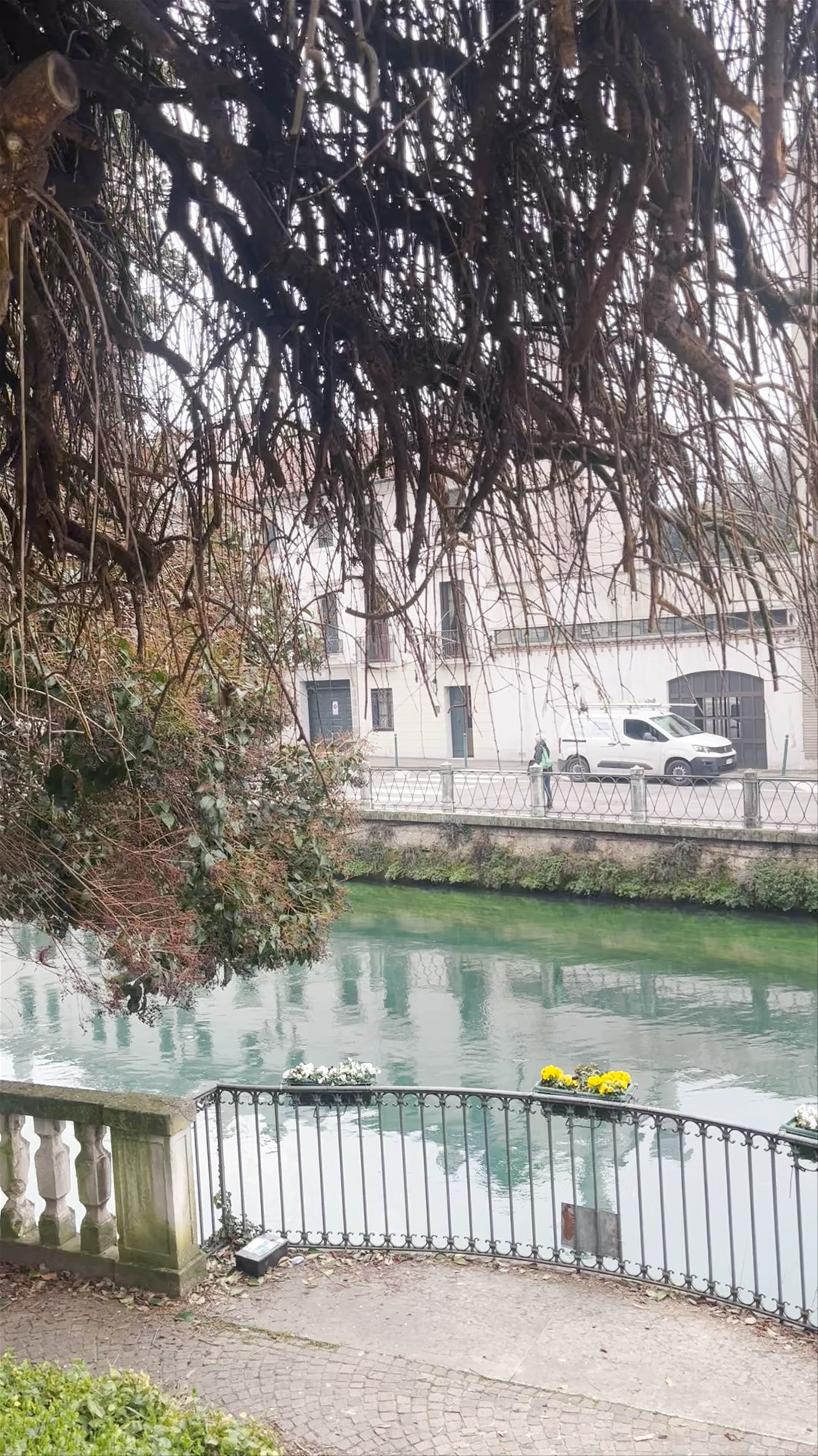 Treviso
