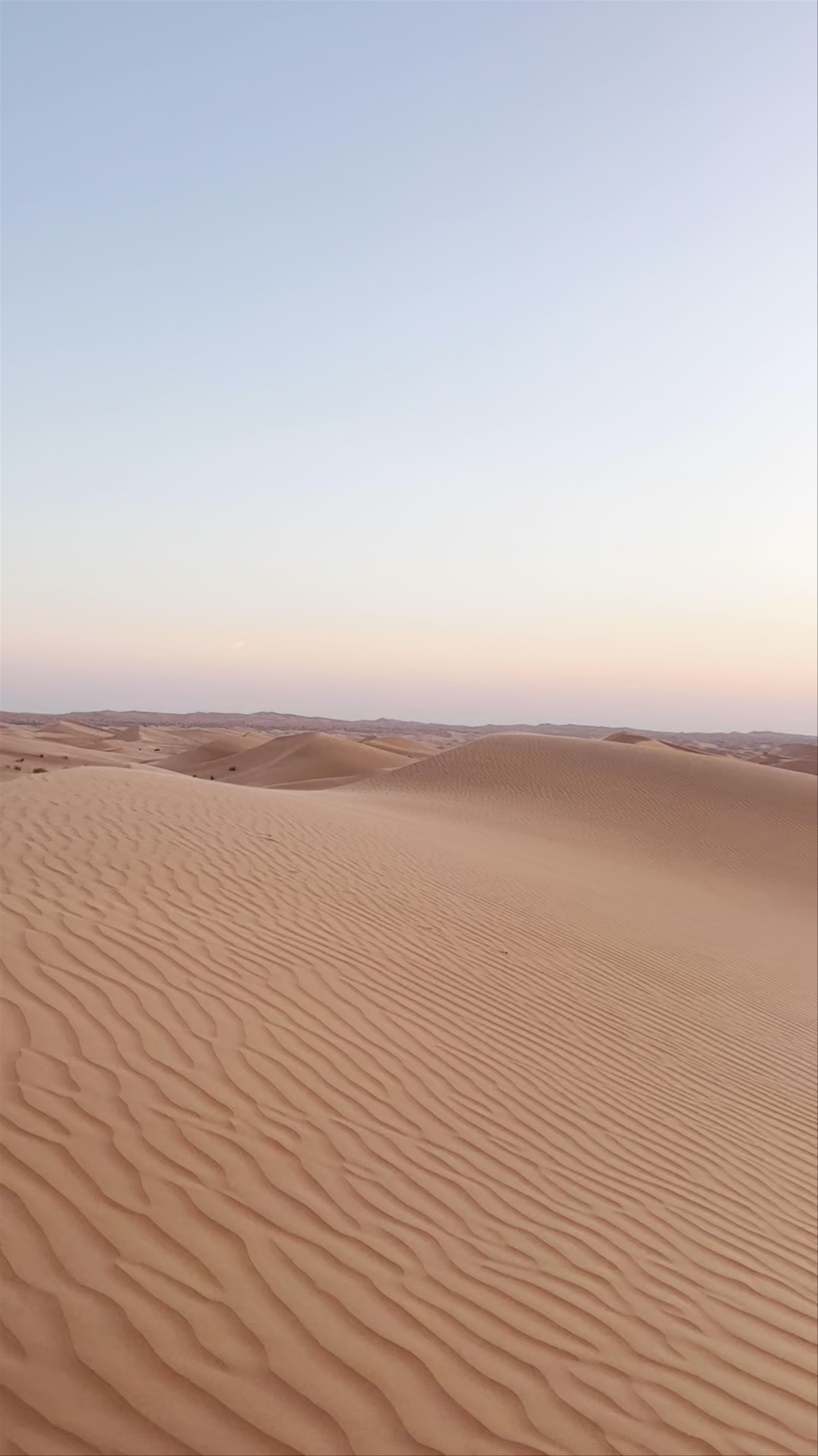 Al qudra desert road - Al Qudra Road - Dubai - United Arab Emirates