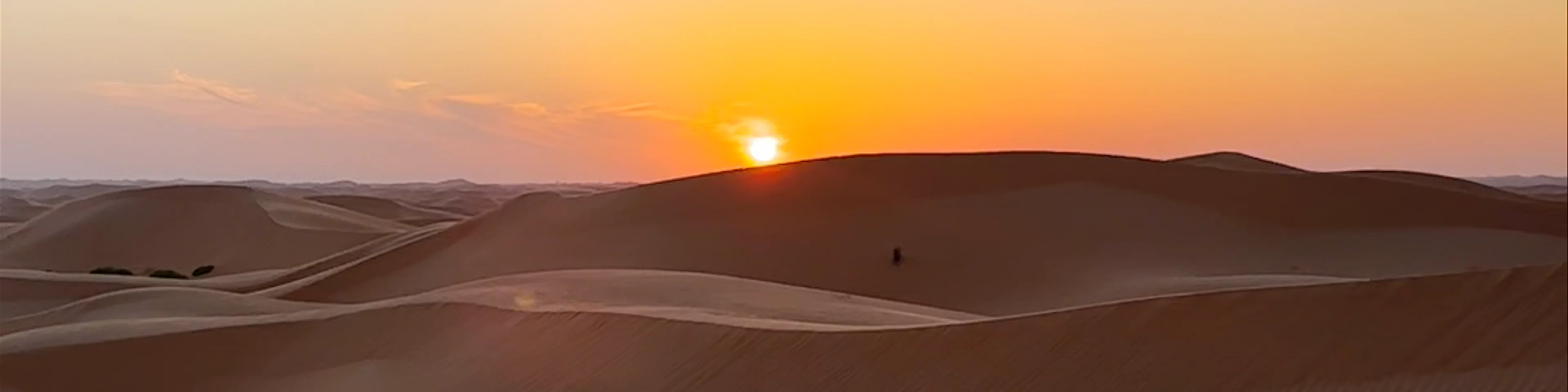 Al qudra desert road - Al Qudra Road - Dubai - United Arab Emirates