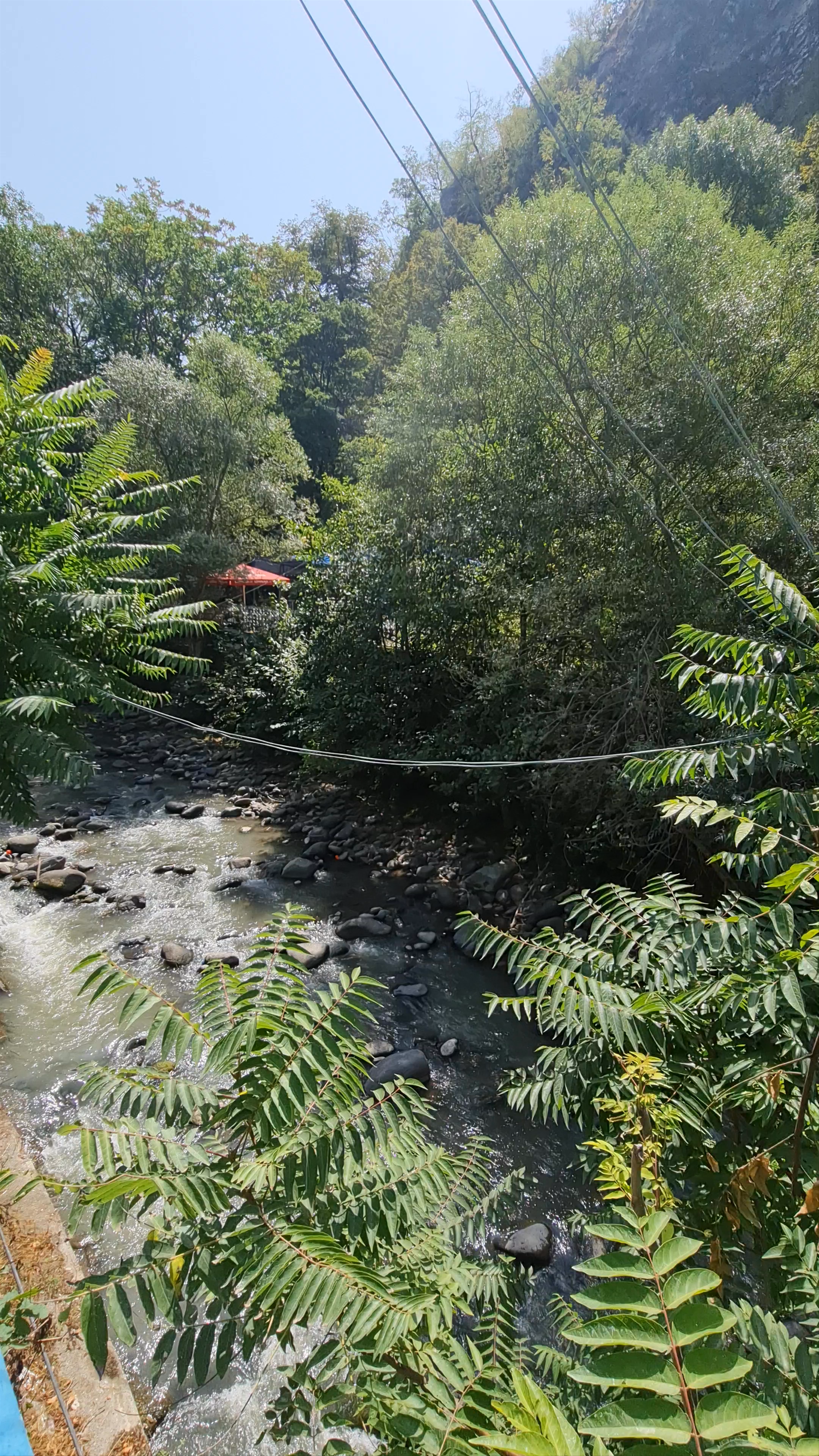 Breathe in Nature’s Calm at Borjomi Central Park, Georgia