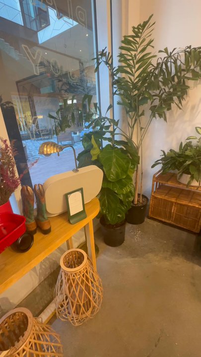 The Plant Project - Nurseries & Gardening Near Me - Houston, Texas