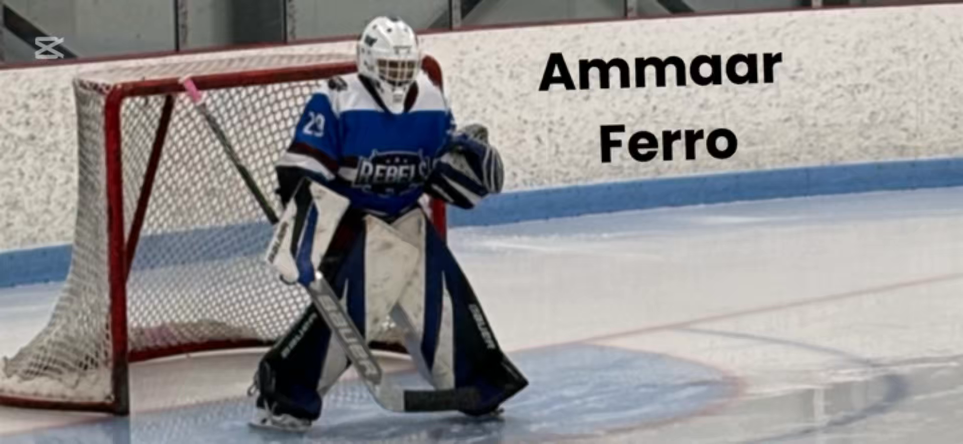 Highlight Package From Over The Season.
