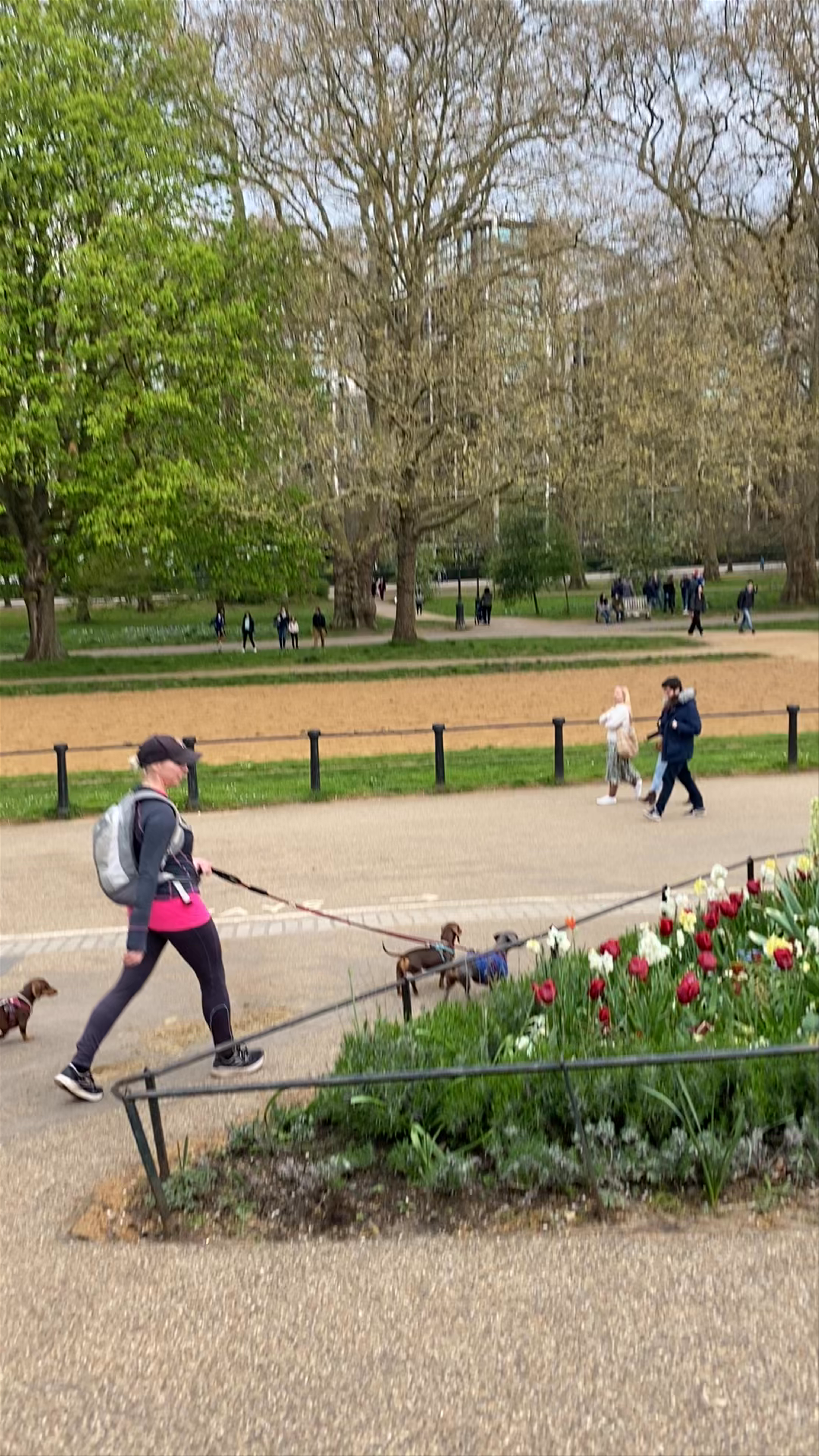 Hyde Park