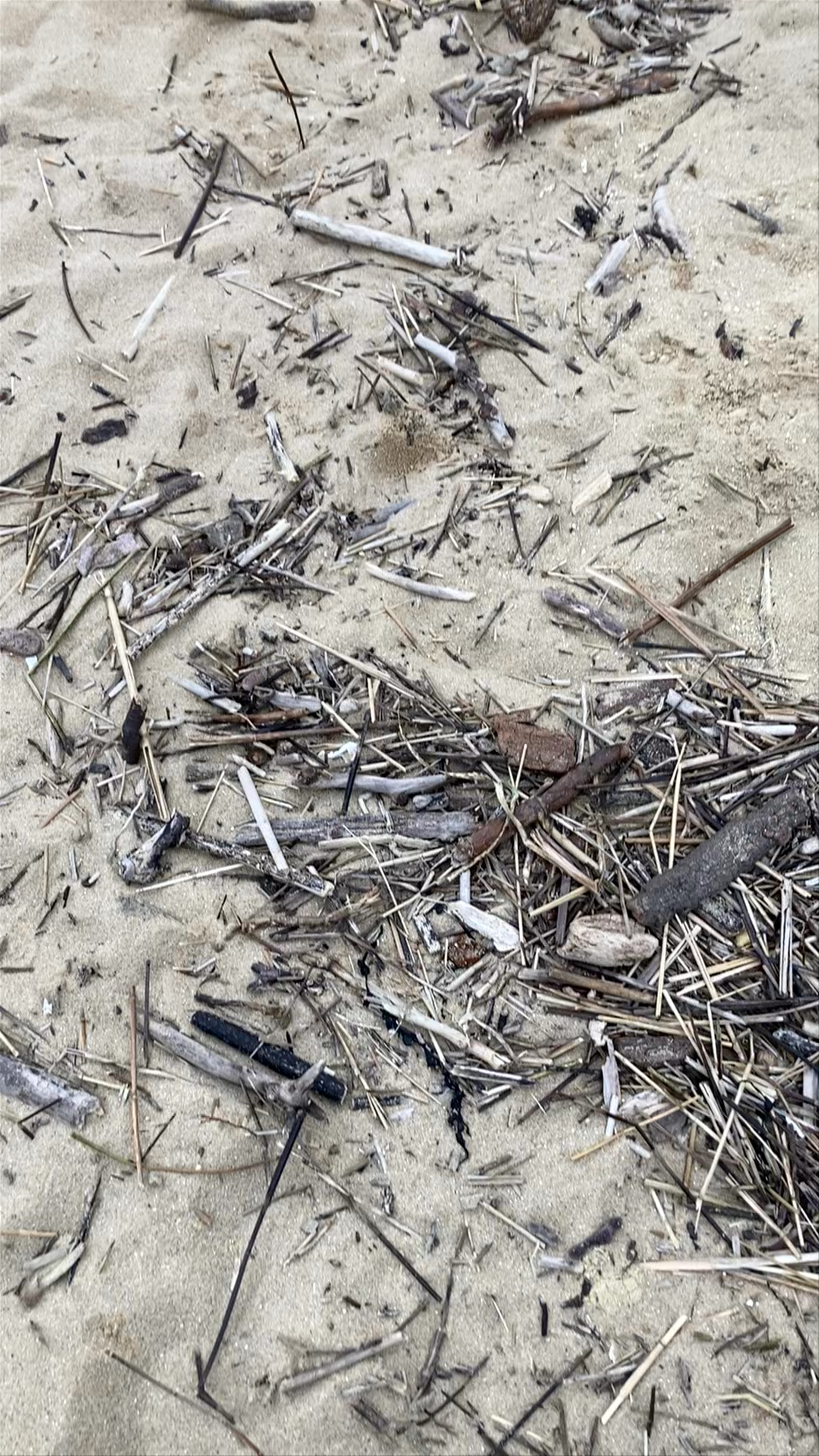 La Corniche St-palais-sur-mer