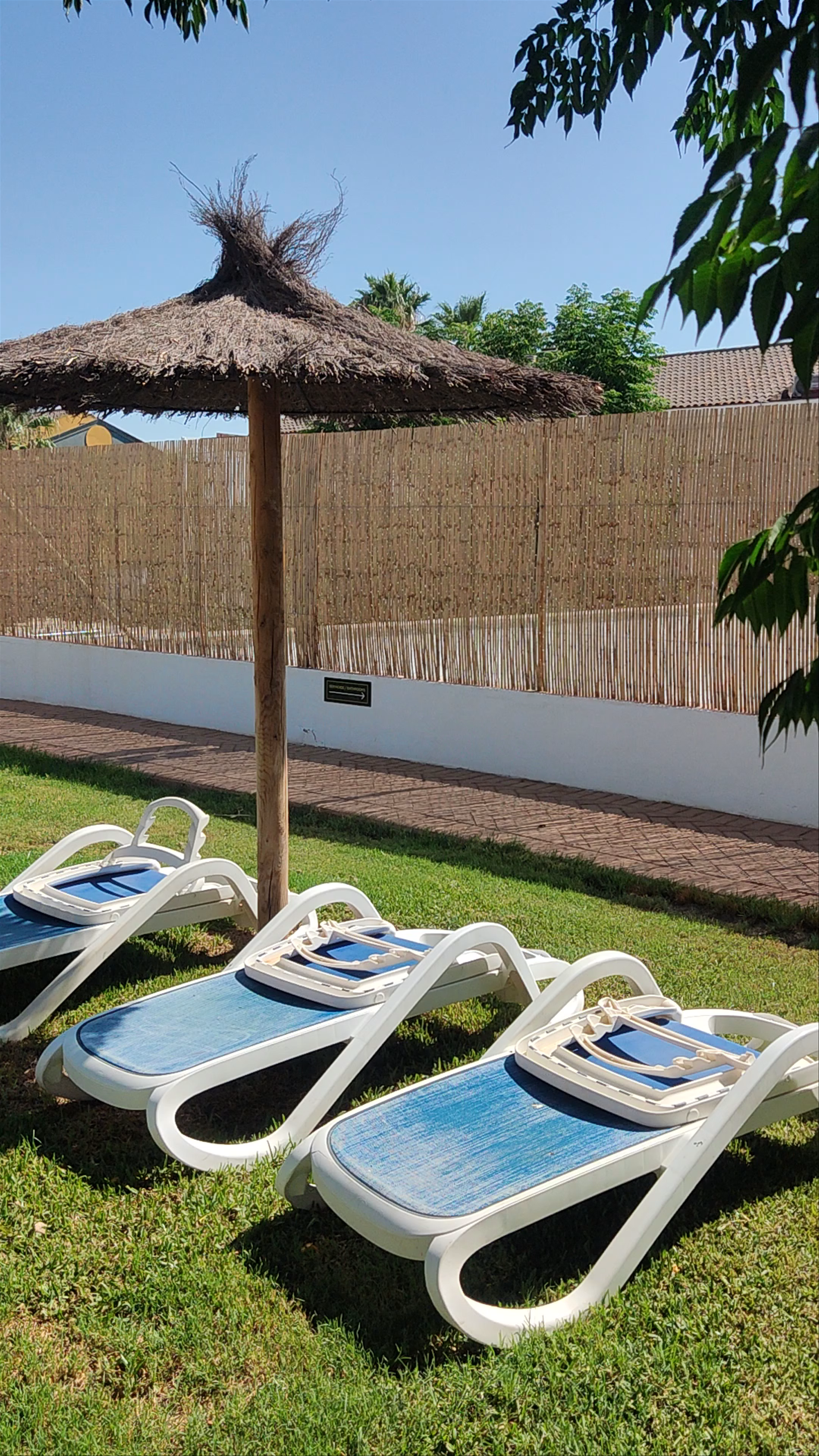 Relaxing Poolside at Hotel Blu Torre de Sevilla in Torre de la Reina, Spain