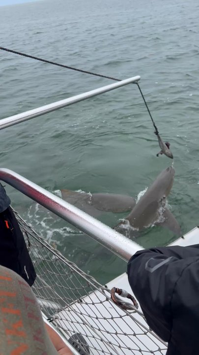 Key West Extreme Adventures - Boating Near Me - Key West, Florida