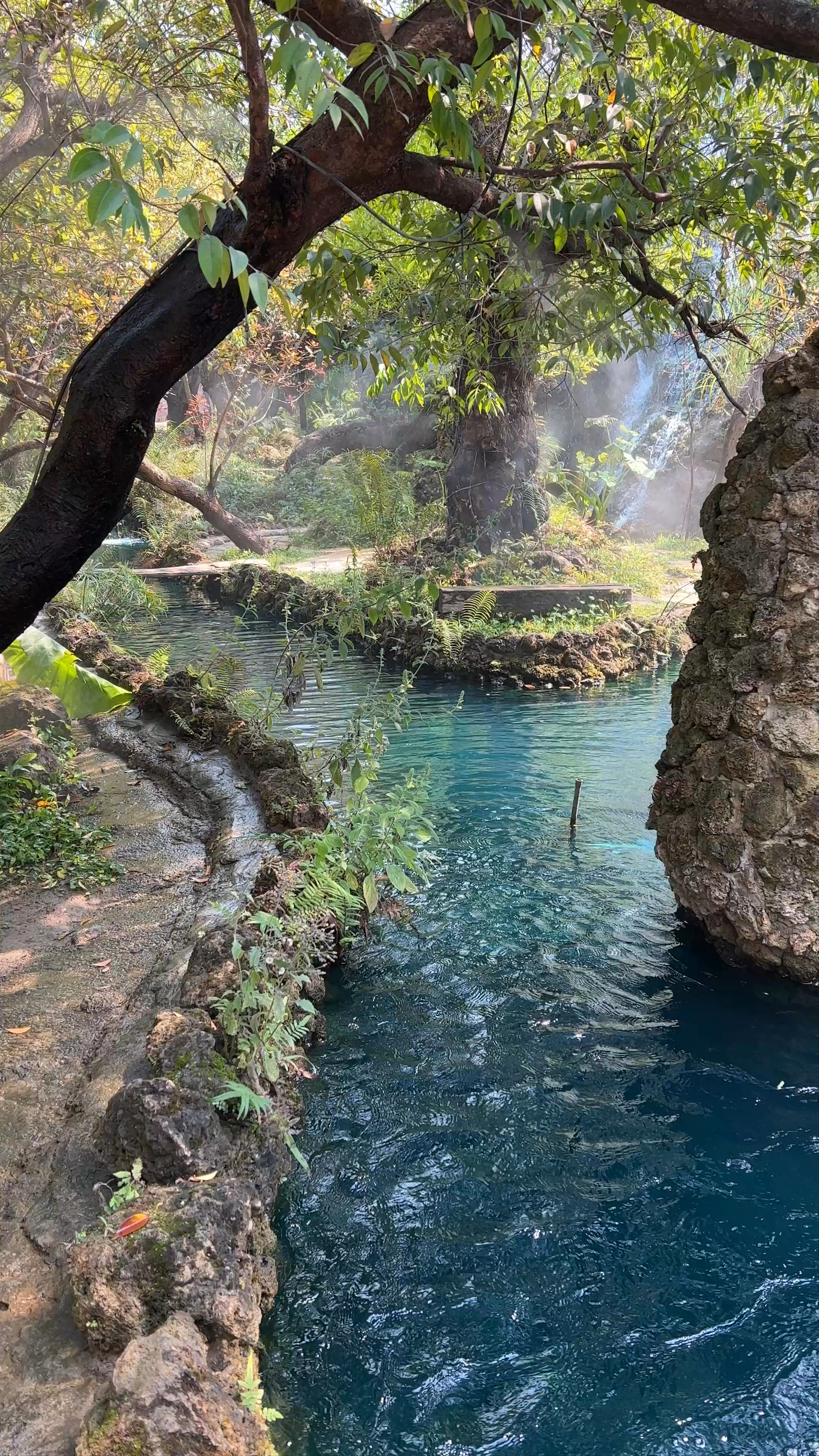 Dantewada Land of Angels Waterfall Park: A Hidden Tropical Oasis in Chiang Mai