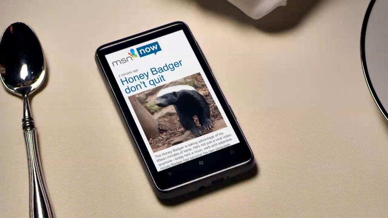 MSN “Honey Badger”