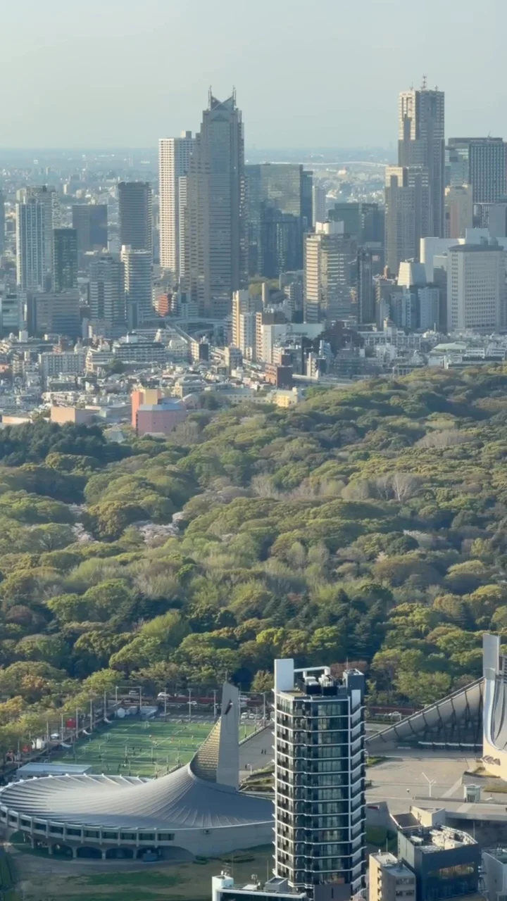 Video 4 · Paula María · Japón 360º: Tokio, Kioto, Osaka e Hiroshima en tren bala