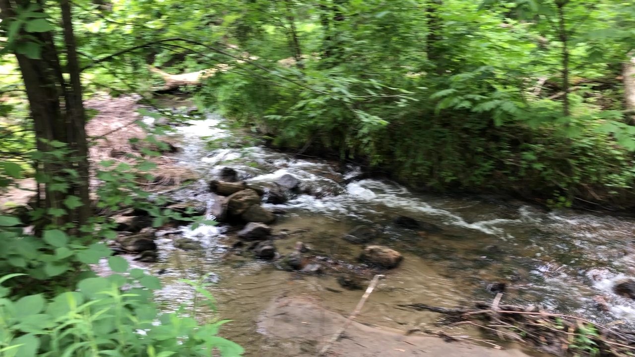 Fredrick-Miller Spring - River and hiking trail next to the spring - Landmarks & Historical Buildings Near Me - Eden Prairie, Minnesota