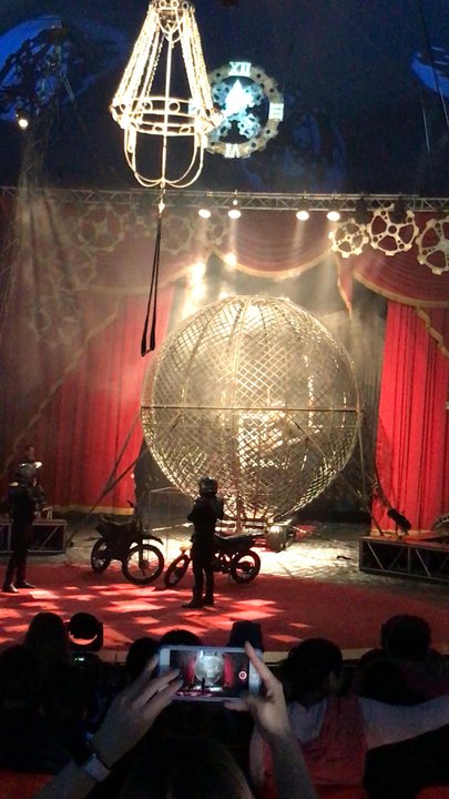 CIRCUS VARGAS - Performing Arts Near Me - Irvine, California