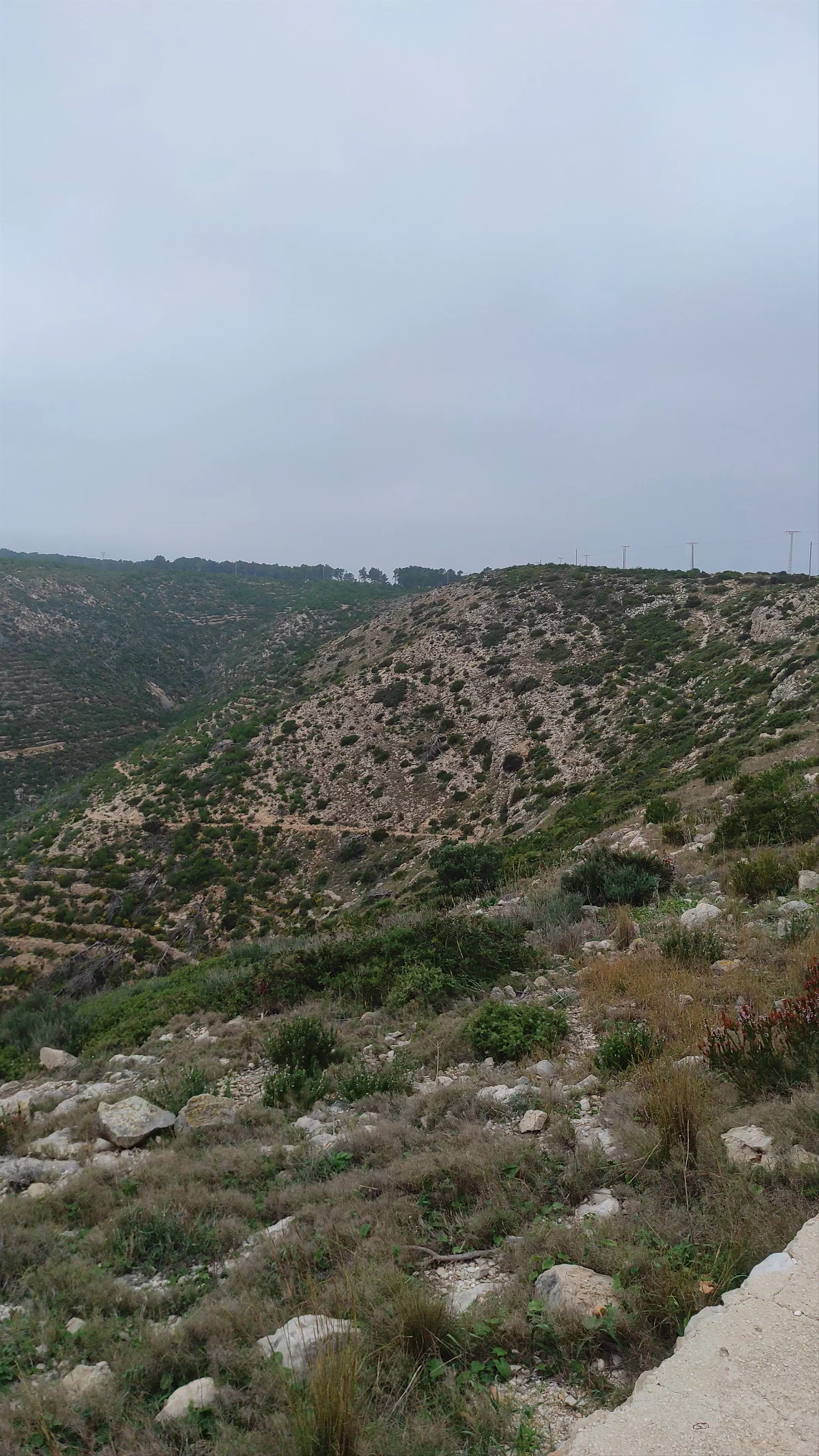 Cap de Sant Antoni