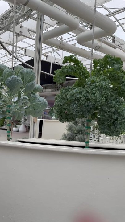 Behind the Seeds - Perfect tour. - Tours Near Me - Orlando, Florida
