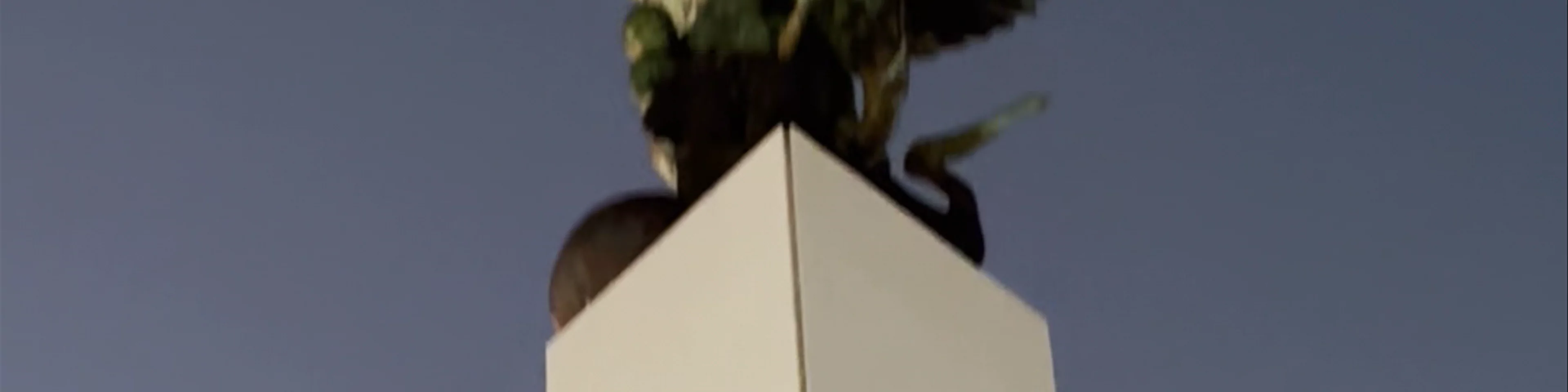El Ángel Maya