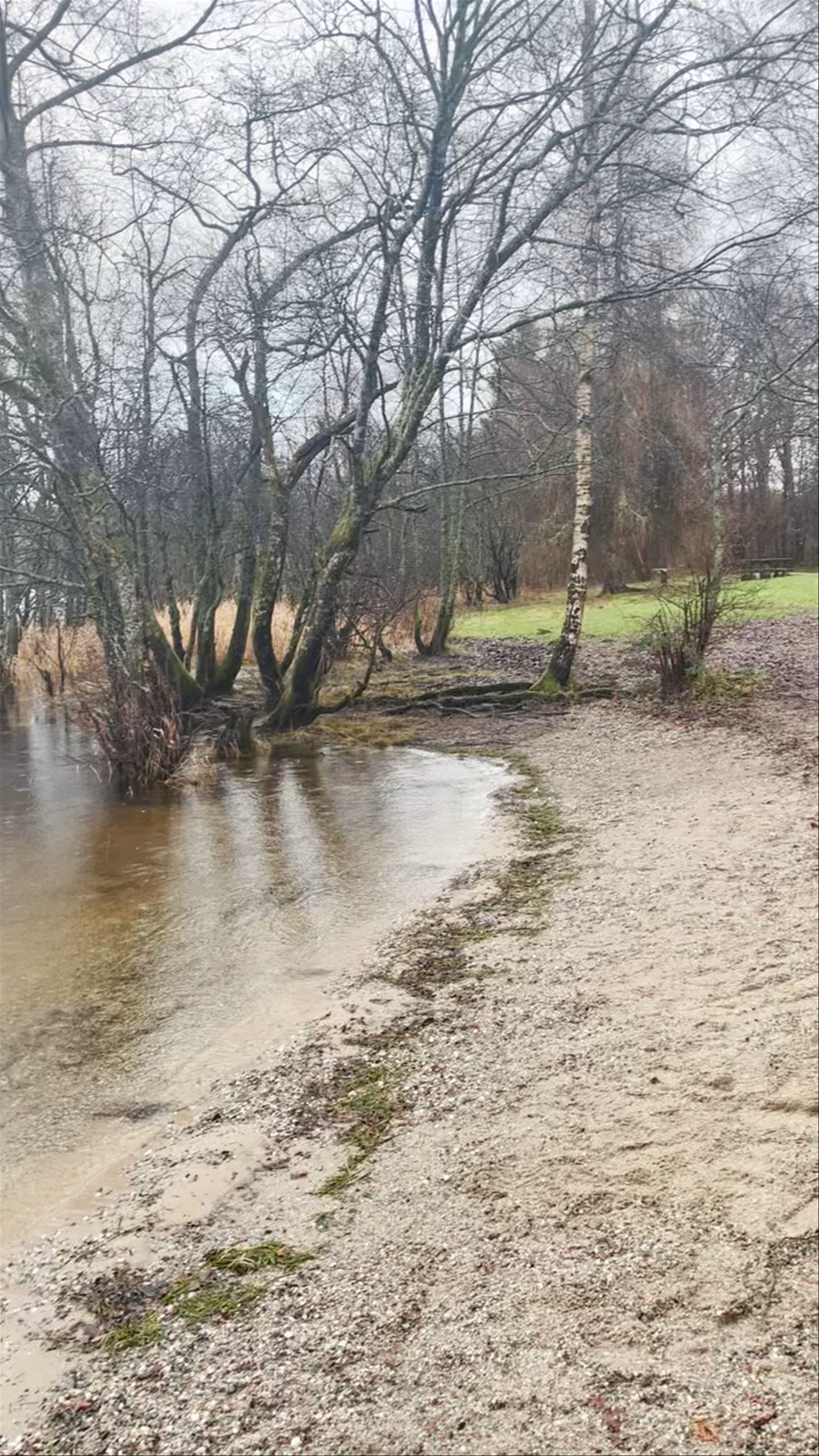 Tranquil Winter Shores at Cameron House, Loch Lomond