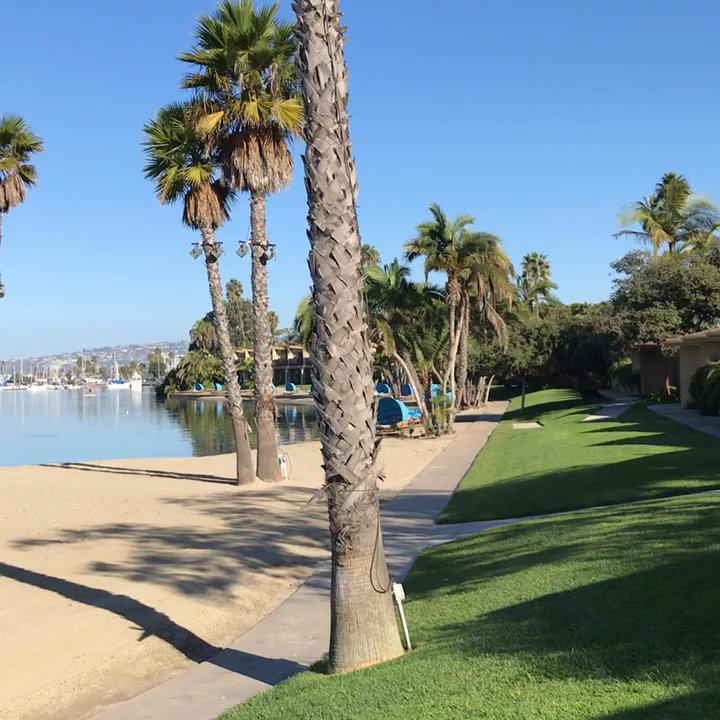 Bahia Resort Hotel - Gorgeous morning!!! - San Diego, CA
