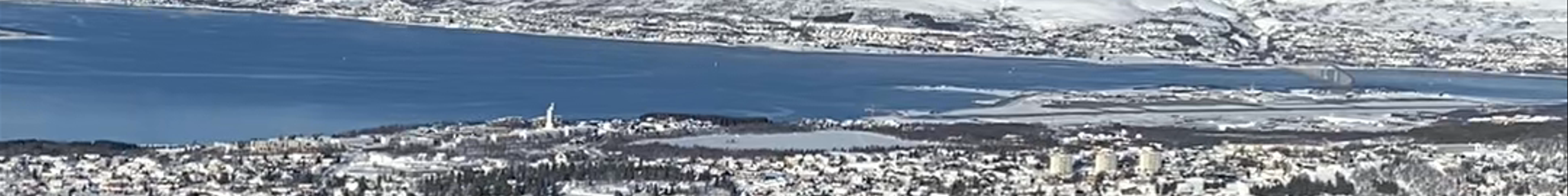 Tours & experiences in Tromsø