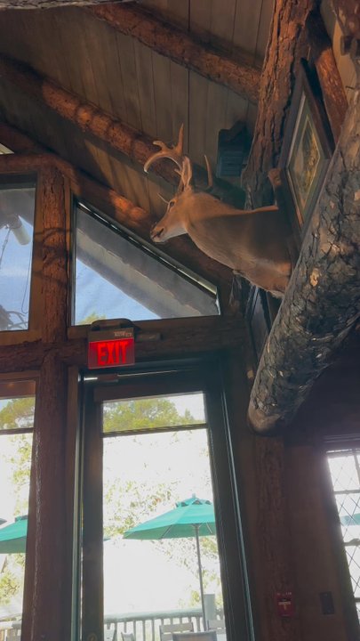 Devil's Pool Restaurant - Video inside devil pool - American Near Me - Ridgedale, Missouri