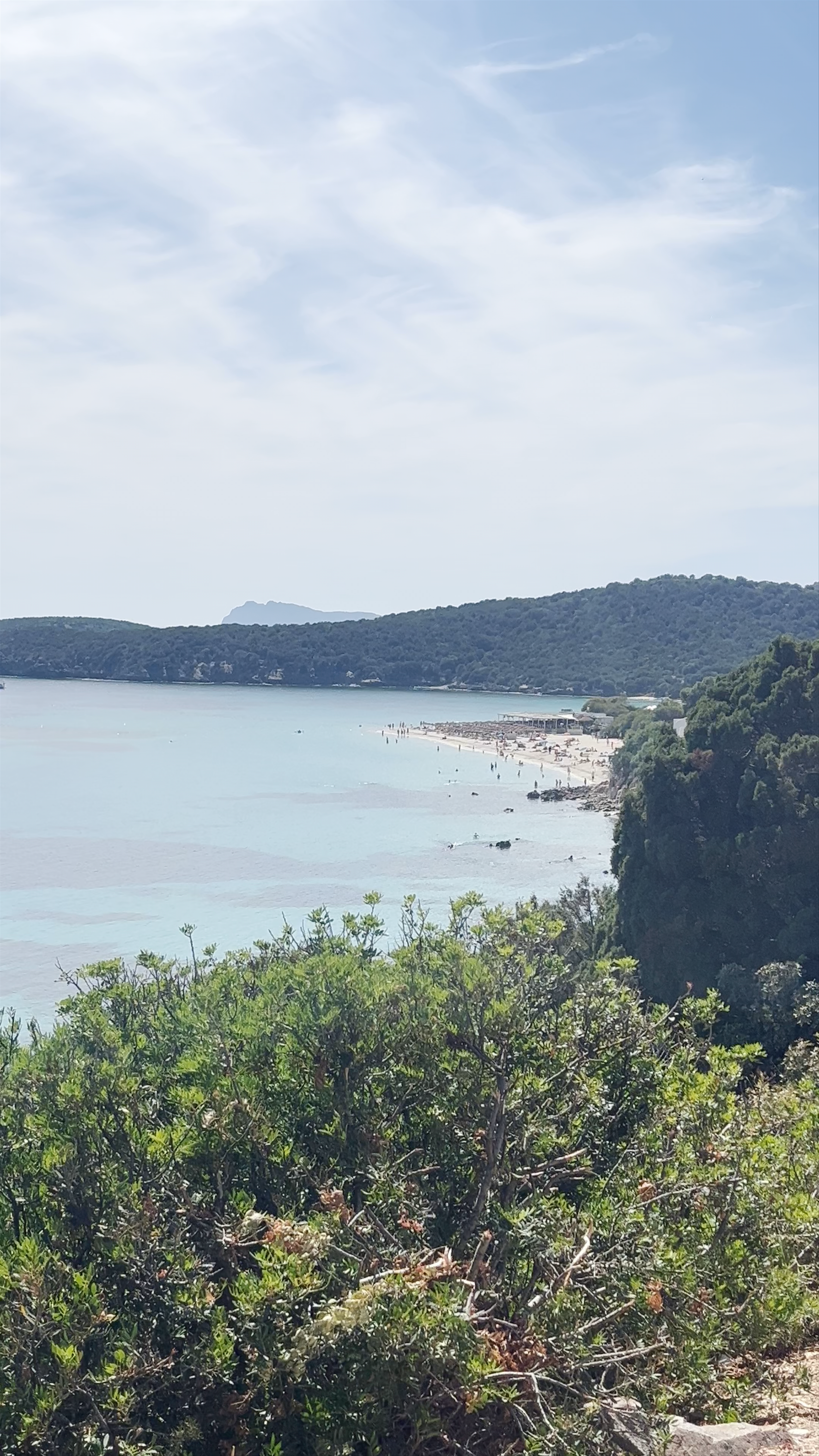 Spiaggia di Cala Cipolla