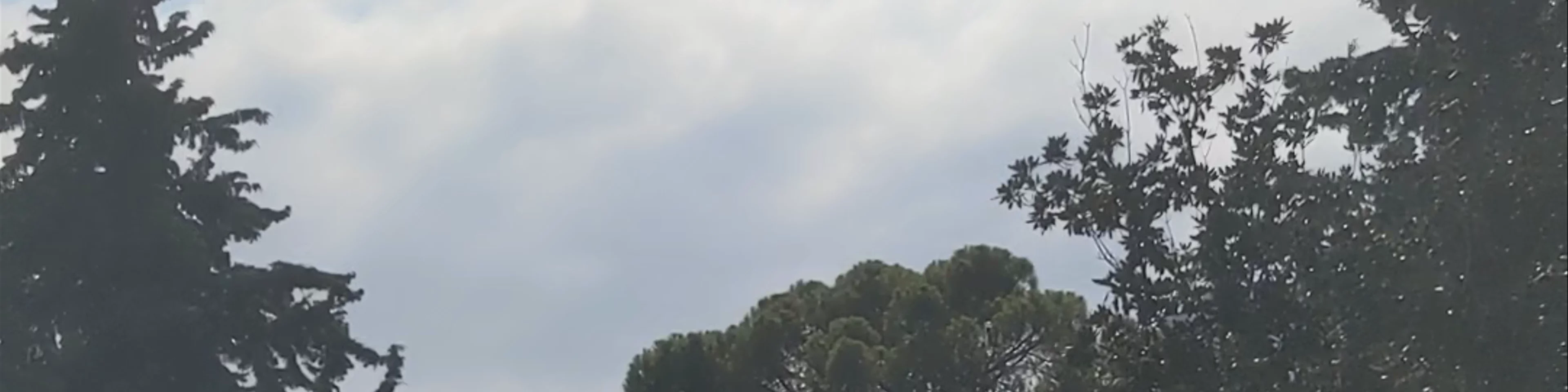 Deniz