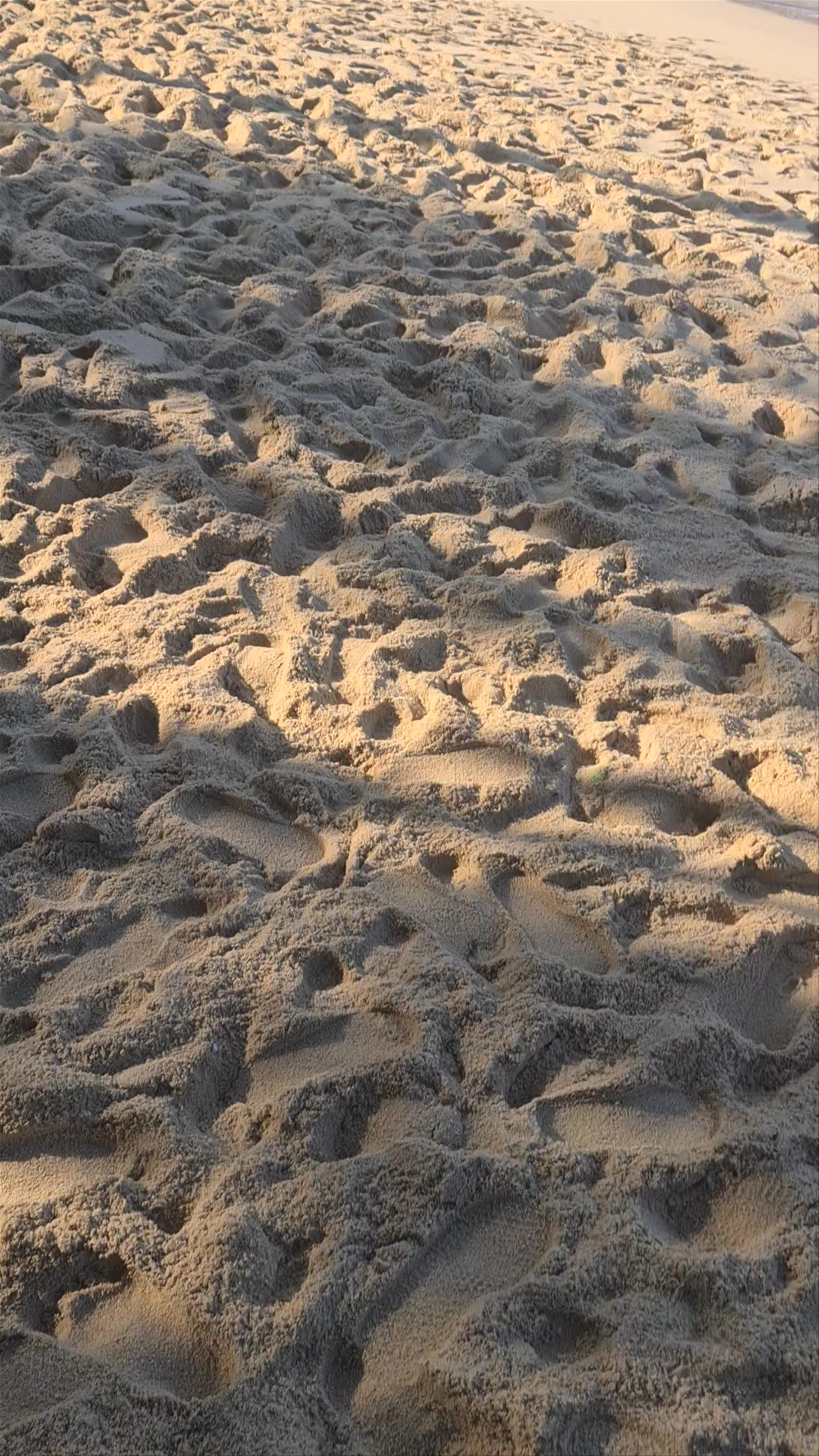 Playa Carrizalillo