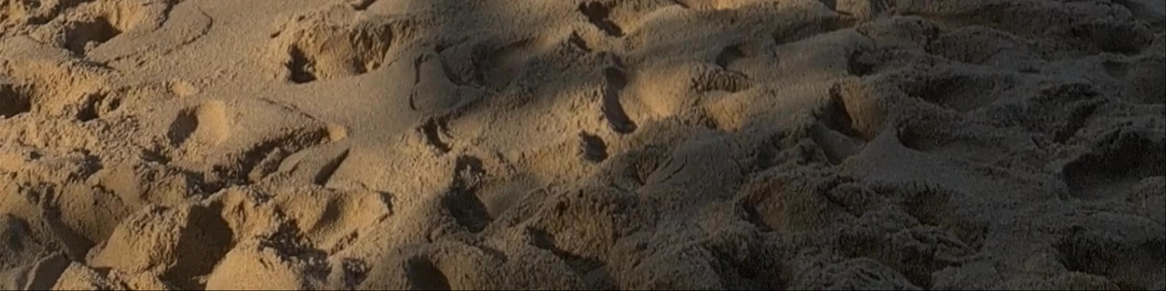 Playa Carrizalillo