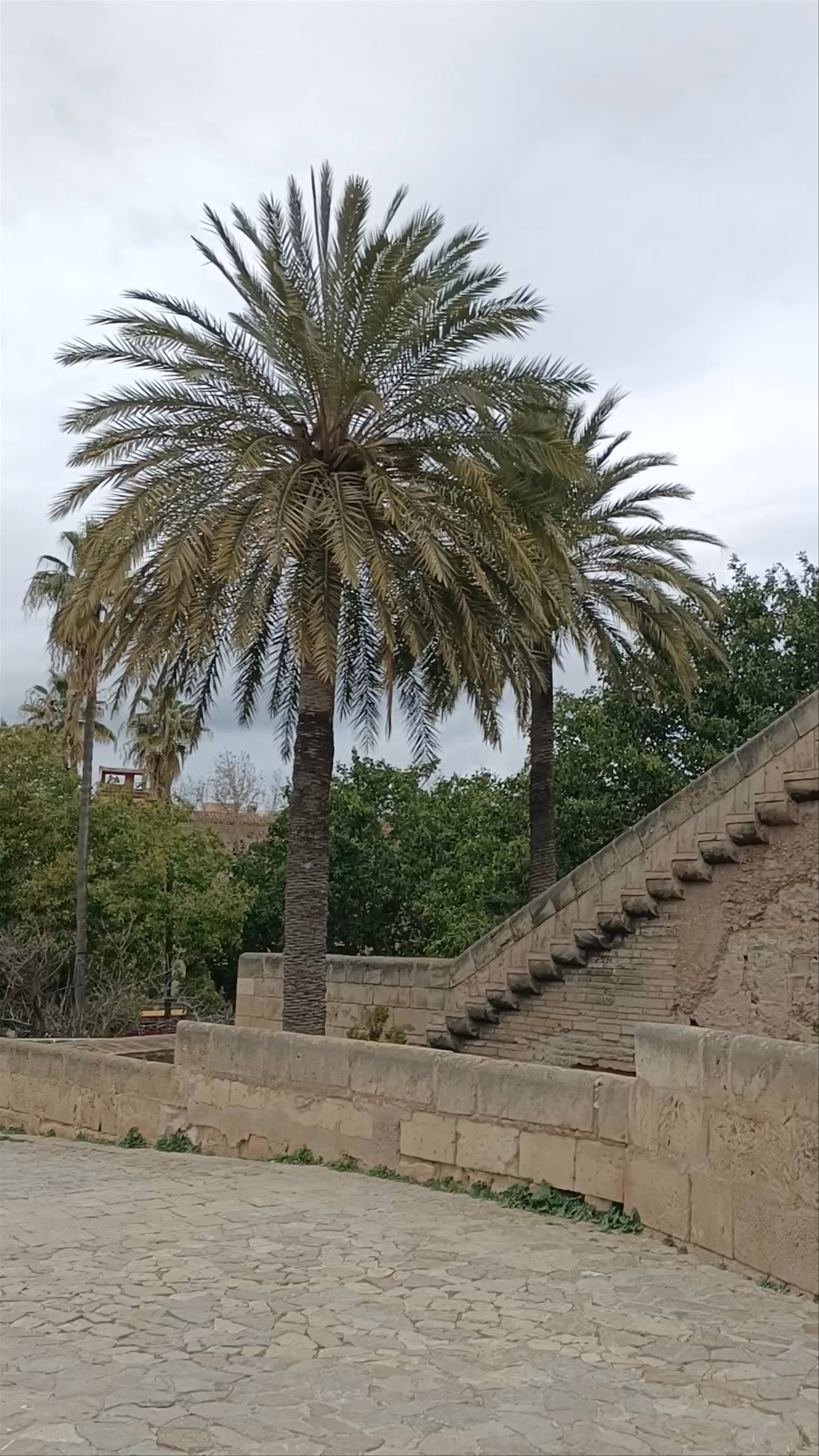 Palacio Real de La Almudaina