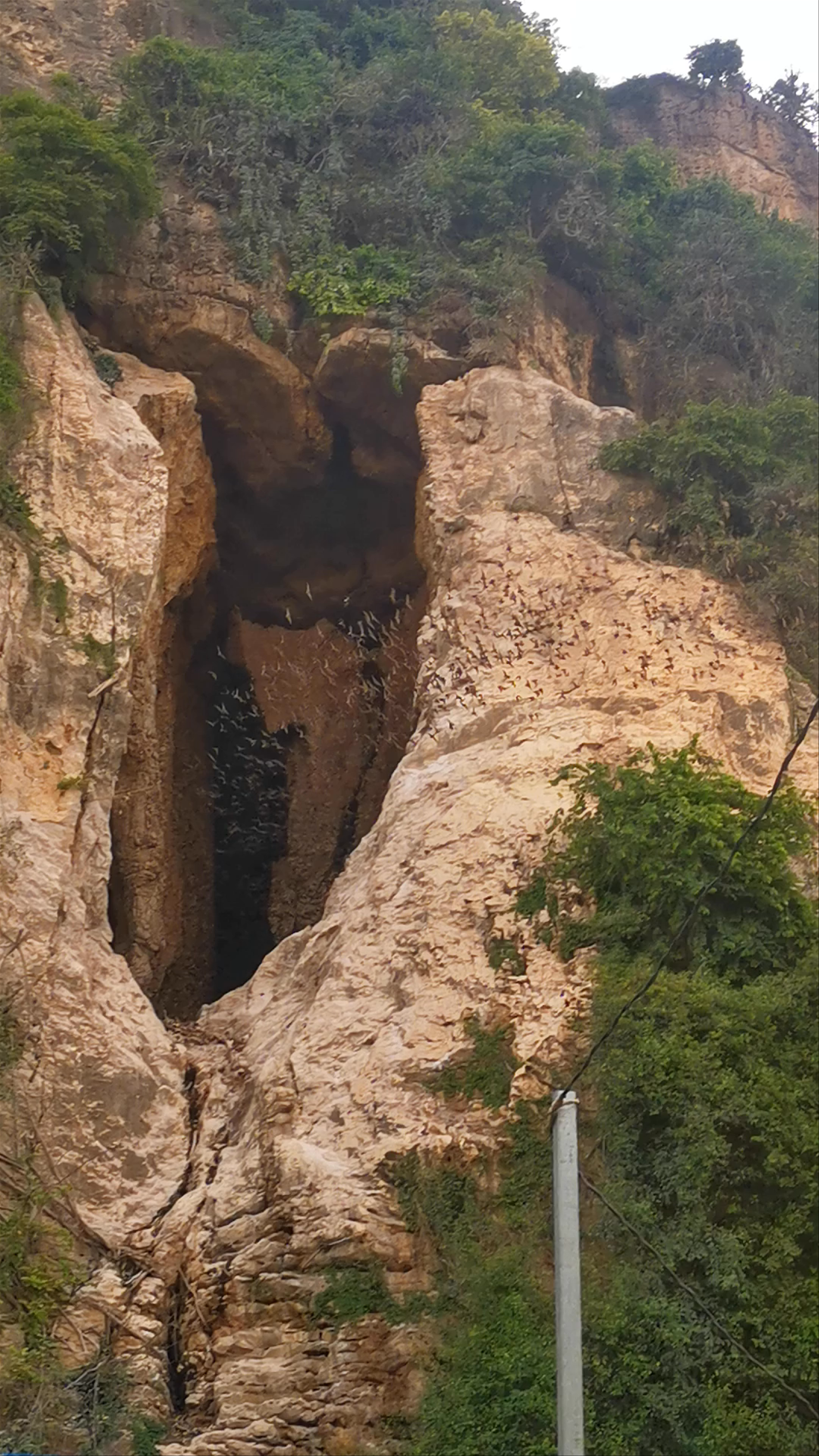 Bat Cave Phnom Sampov