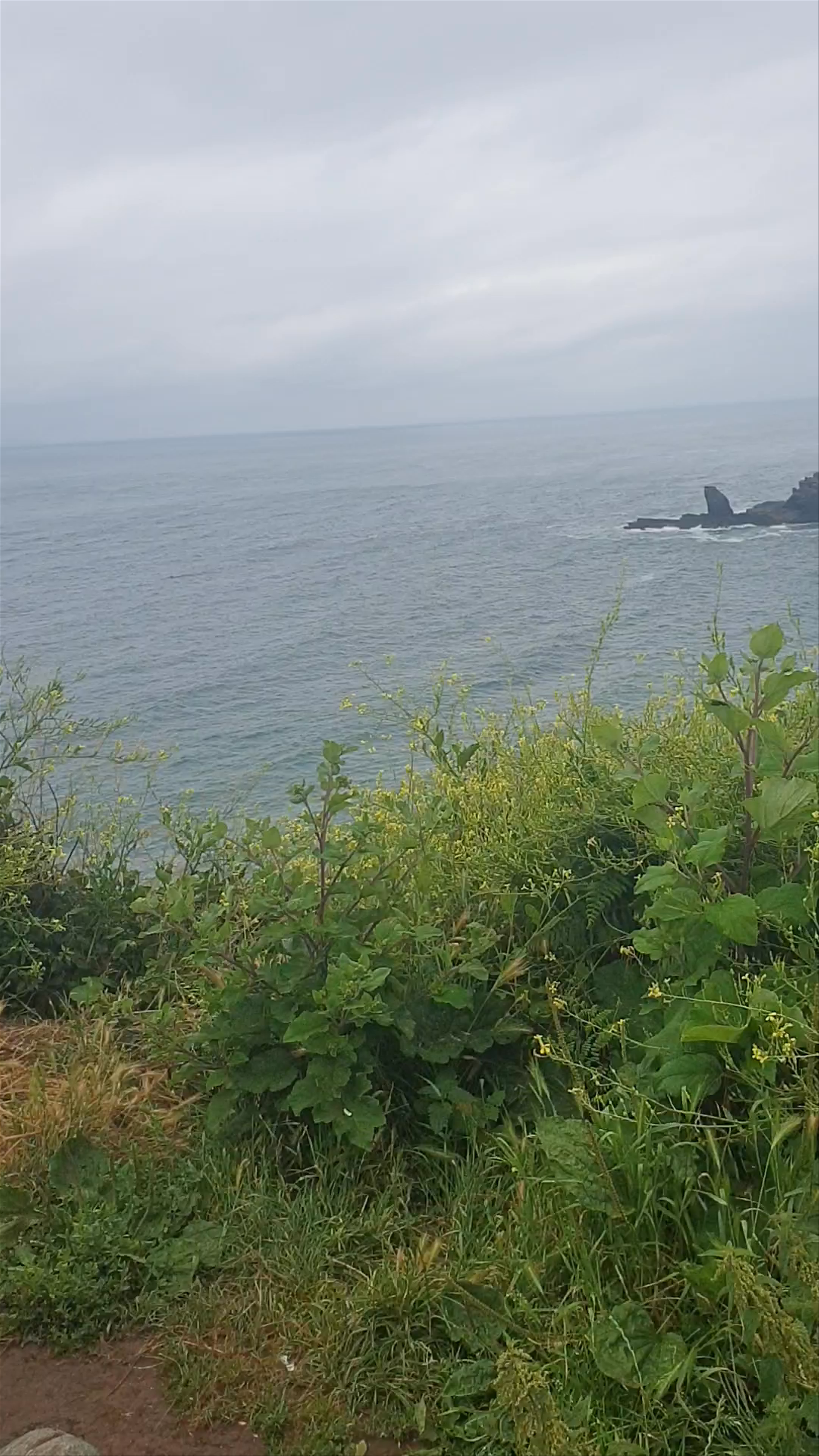 Lizard Point Coastal View: Wild Cornwall's Rugged Beauty