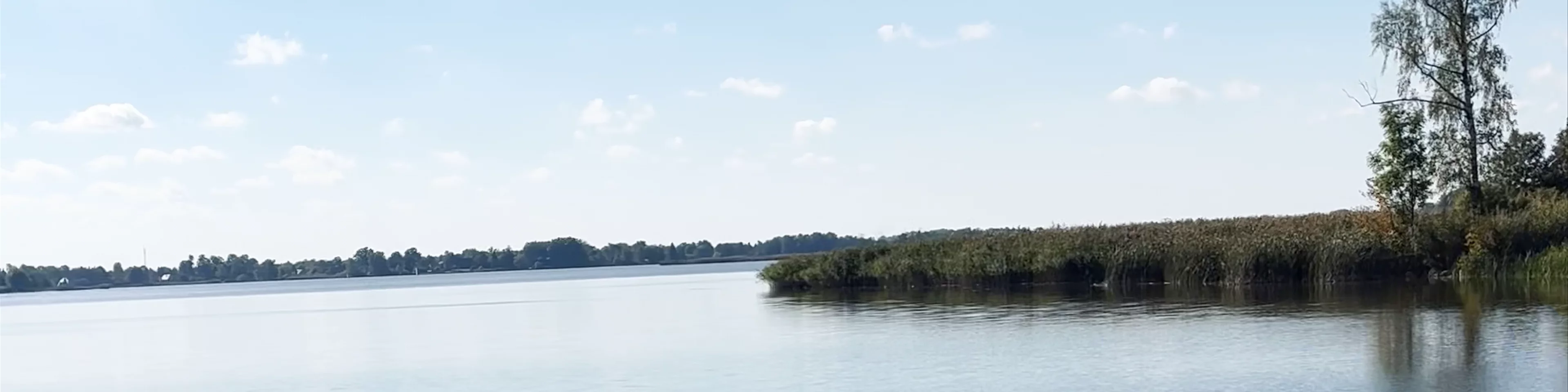 Astravo dvaro pakrantė
