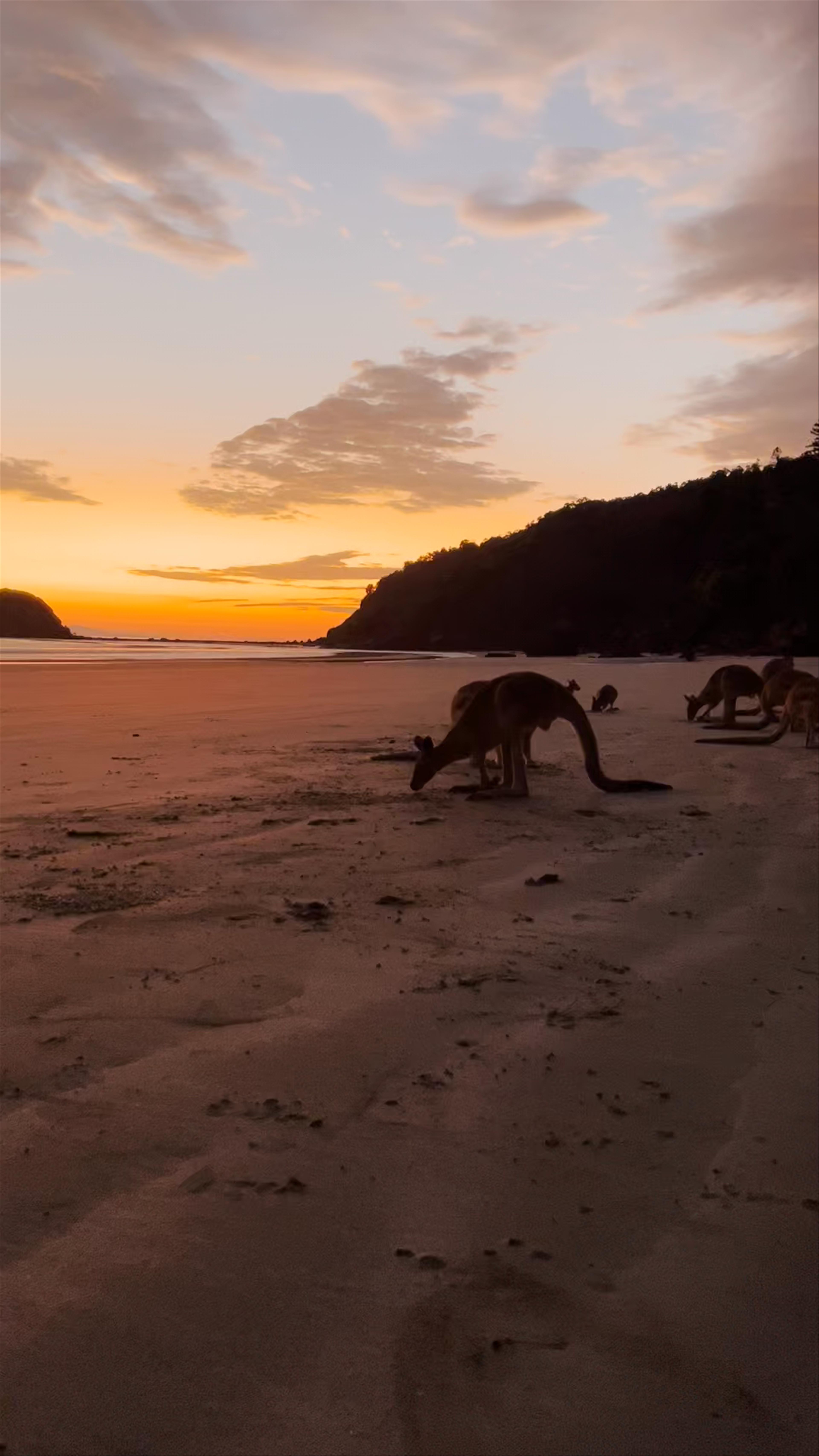 Cape Hillsborough National Park