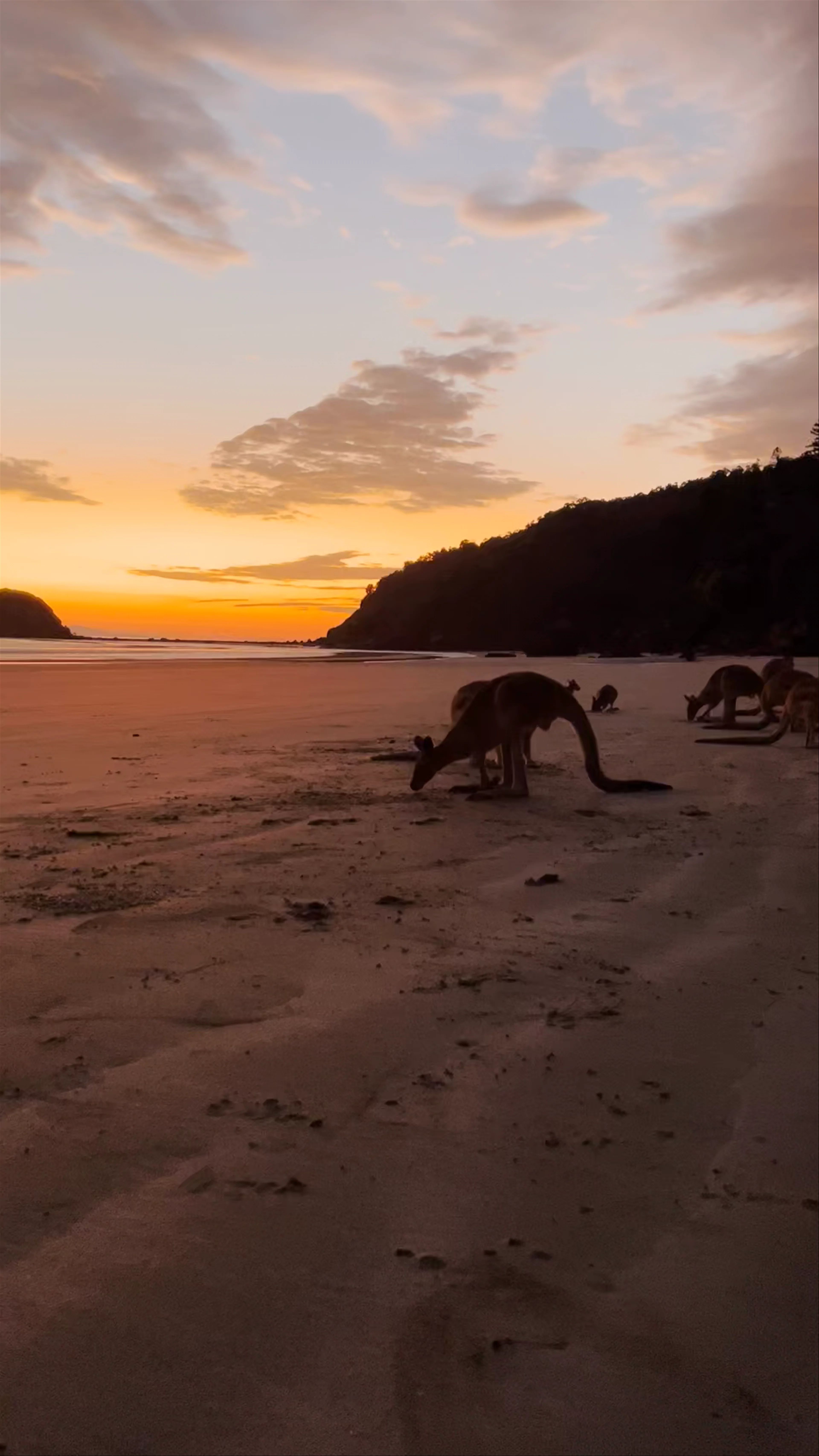 Cape Hillsborough National Park