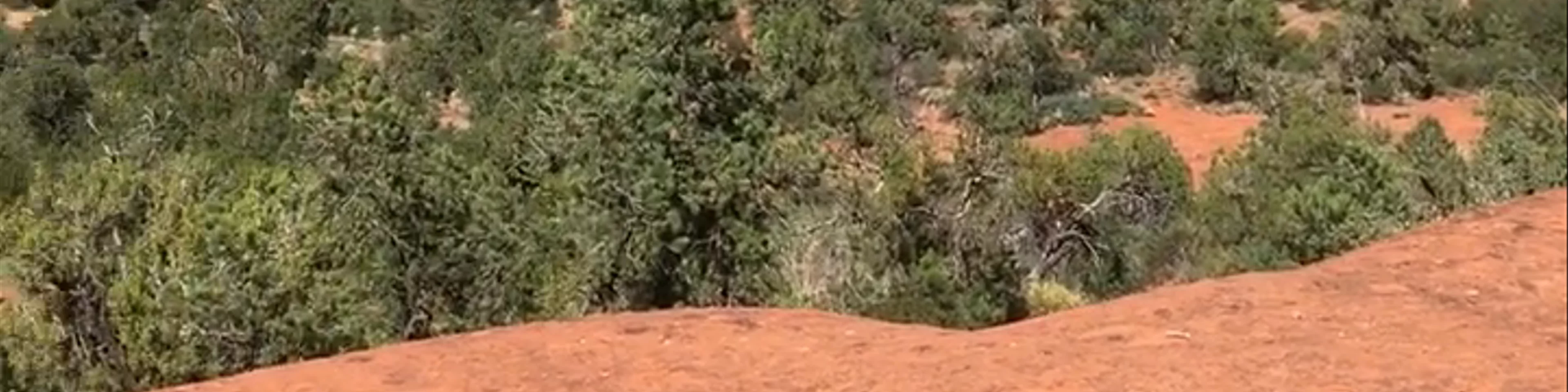 Bell Rock Trail Sedona AZ