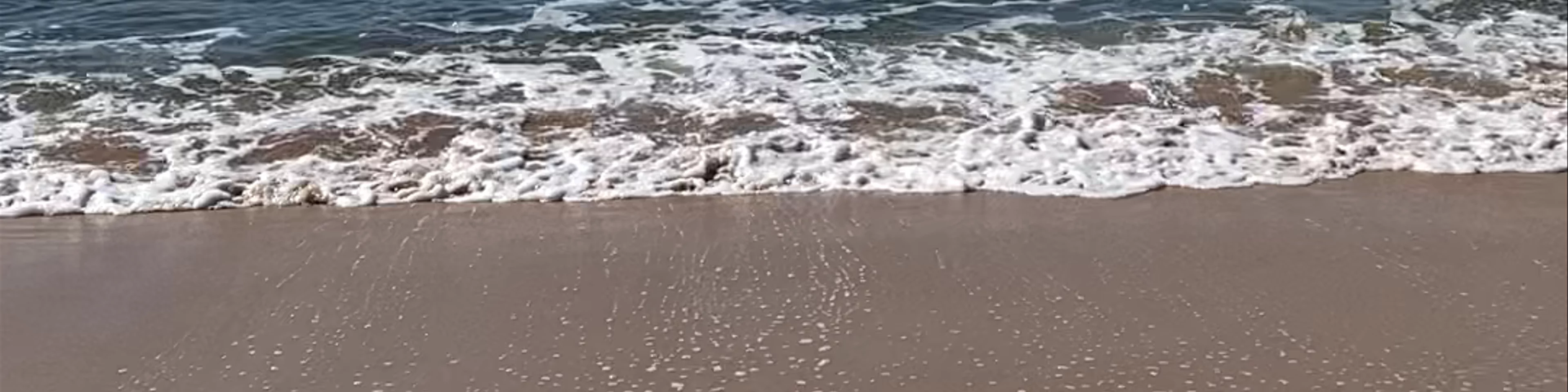 Pearl Beach