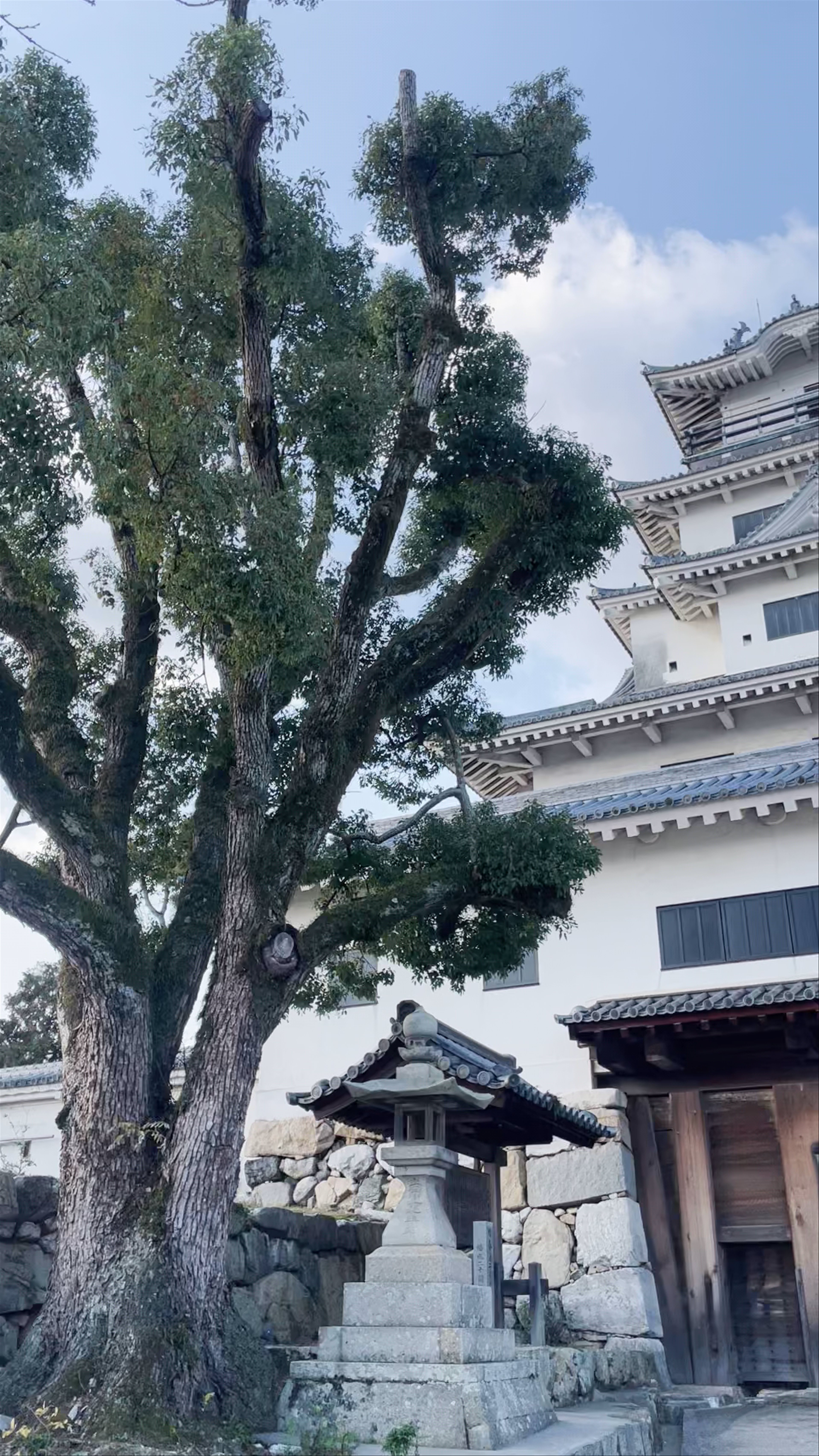 Imabari Castle