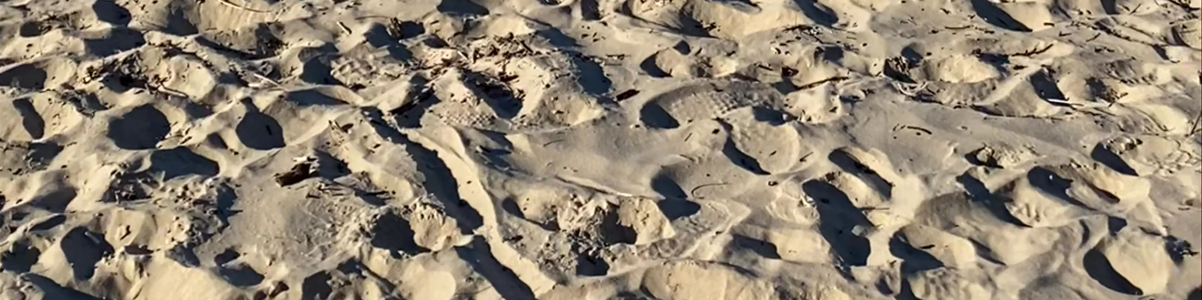Town Beach