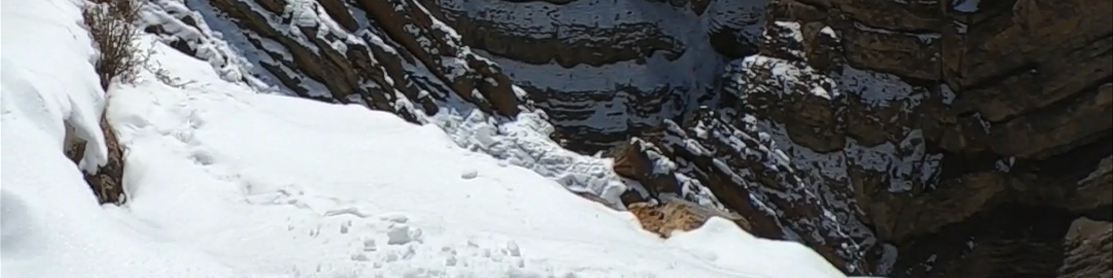 KOMIC World's Highest Village