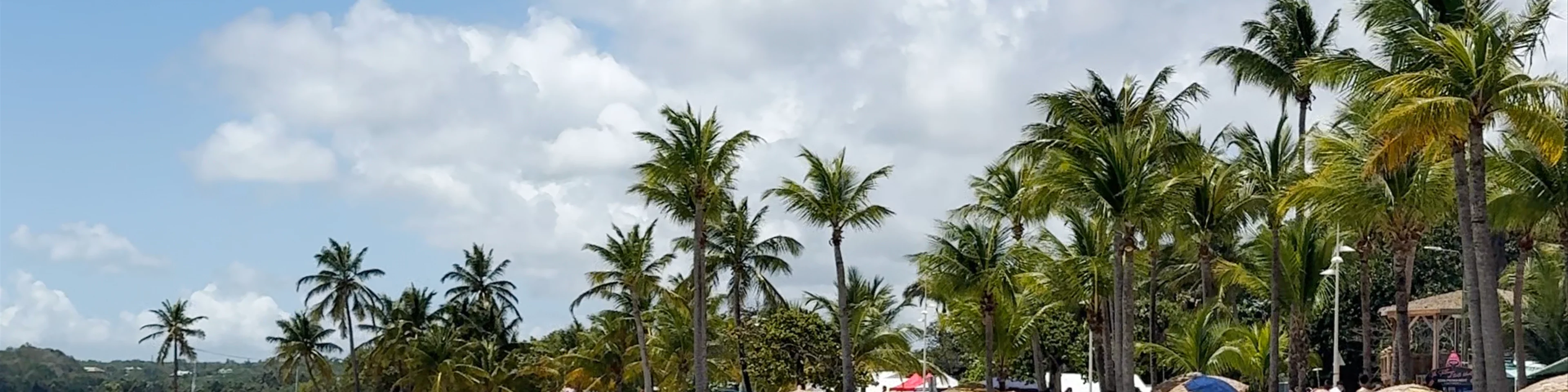 Plage du bourg - Sainte-Anne
