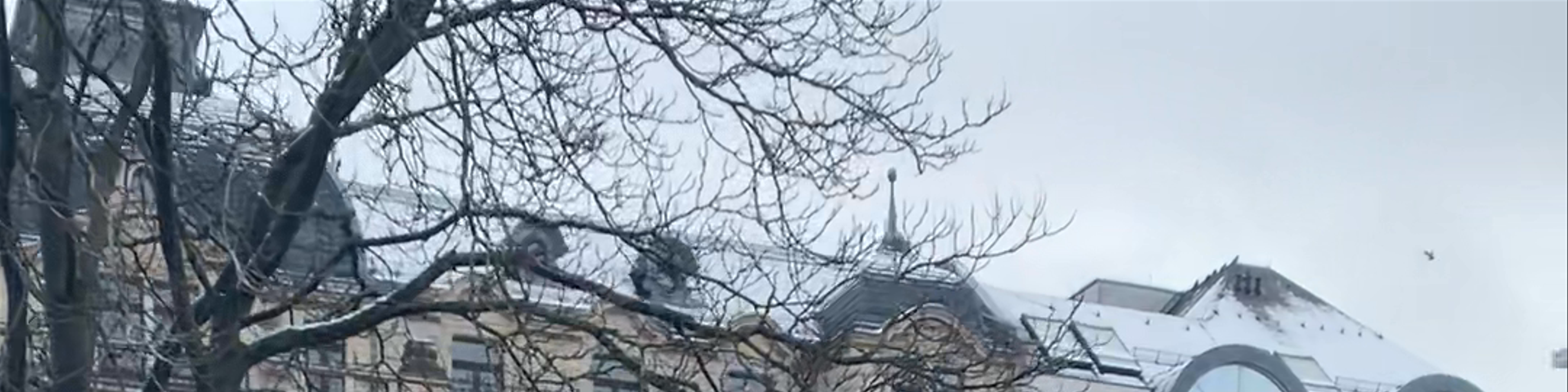 Wiesbaden