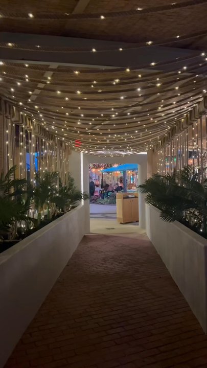 Palm Tree Club - Palm Tree Club - New American Near Me - Orlando, Florida