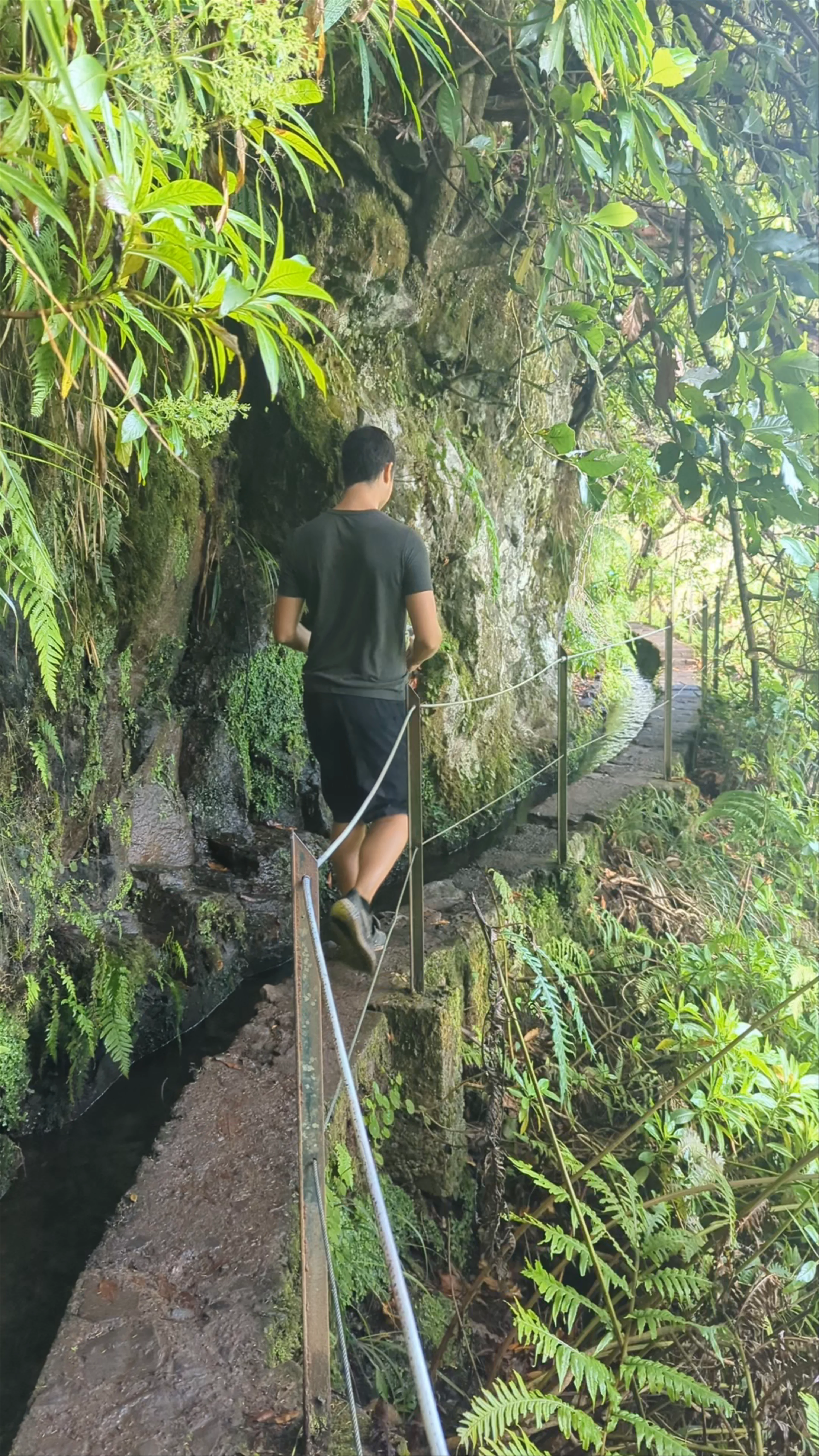 PR9 Levada do Caldeirão Verde