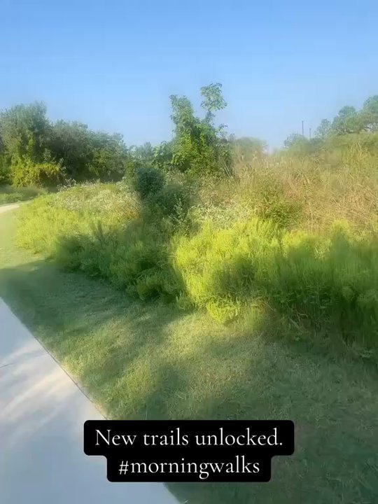 Kickerillo-Mischer Preserve - Beautiful - Parks Near Me - Houston, Texas