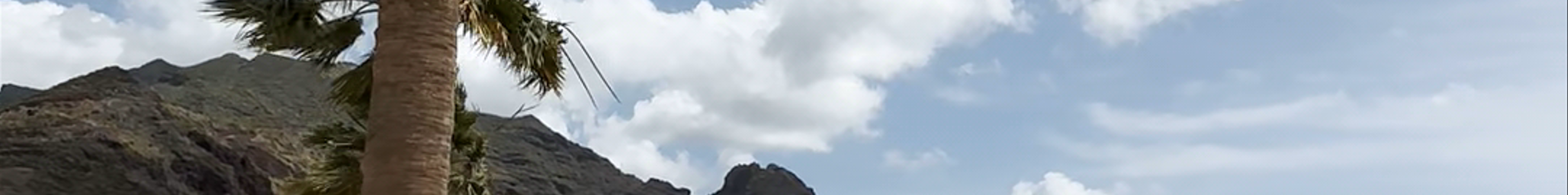 Tours & experiences in Santa Cruz de Tenerife
