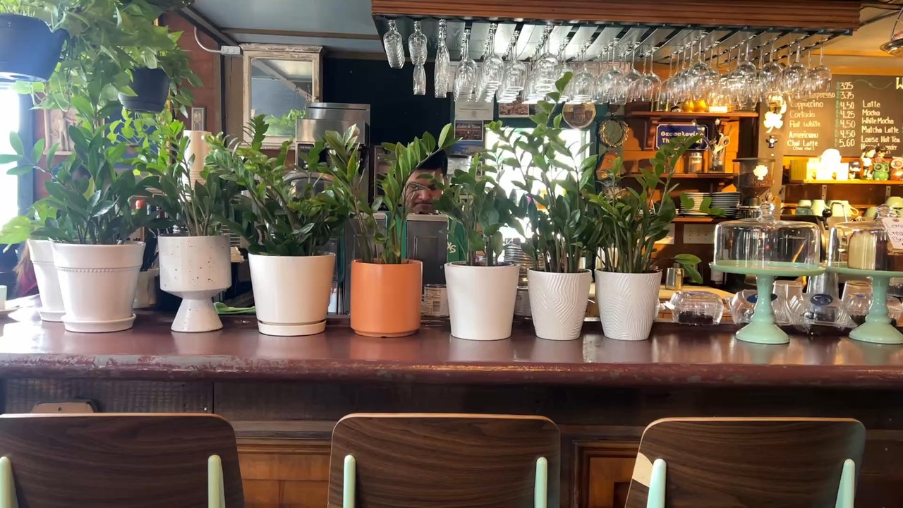 Agora - Coffee & Tea Near Me - Houston, Texas