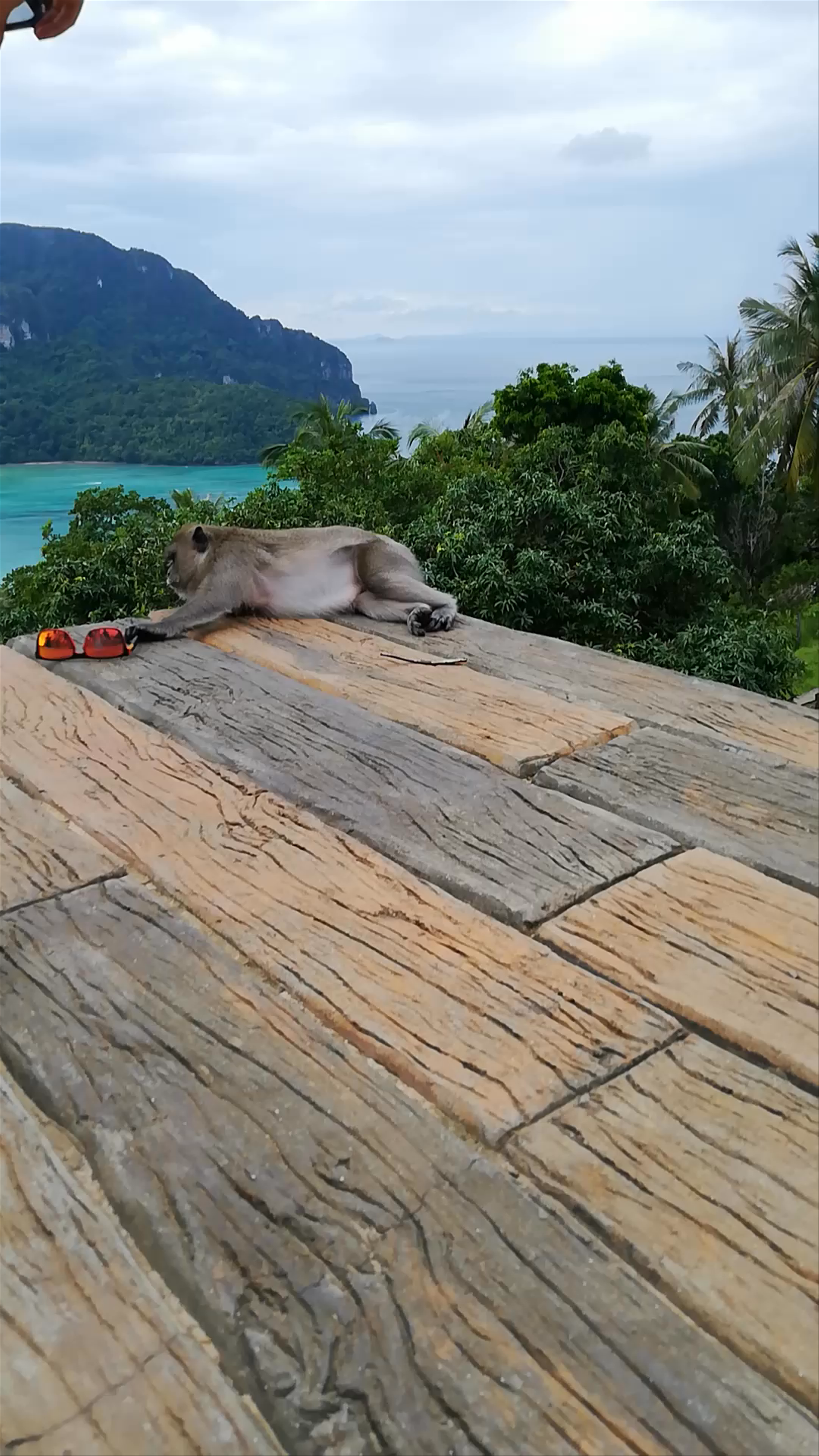 Phi Phi Viewpoint 2: Panoramic Tropical Escape in Krabi, Thailand