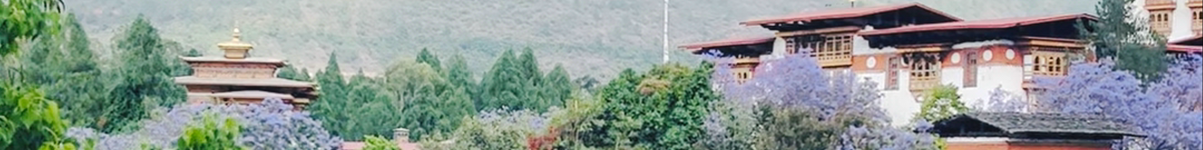 Tours & experiences in Punākha