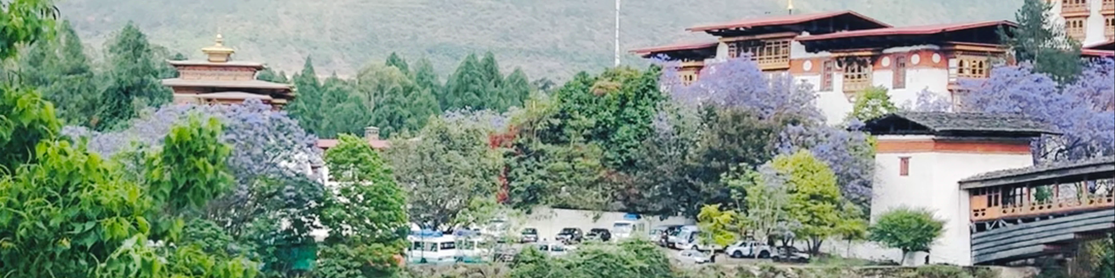 Punakha Dzong