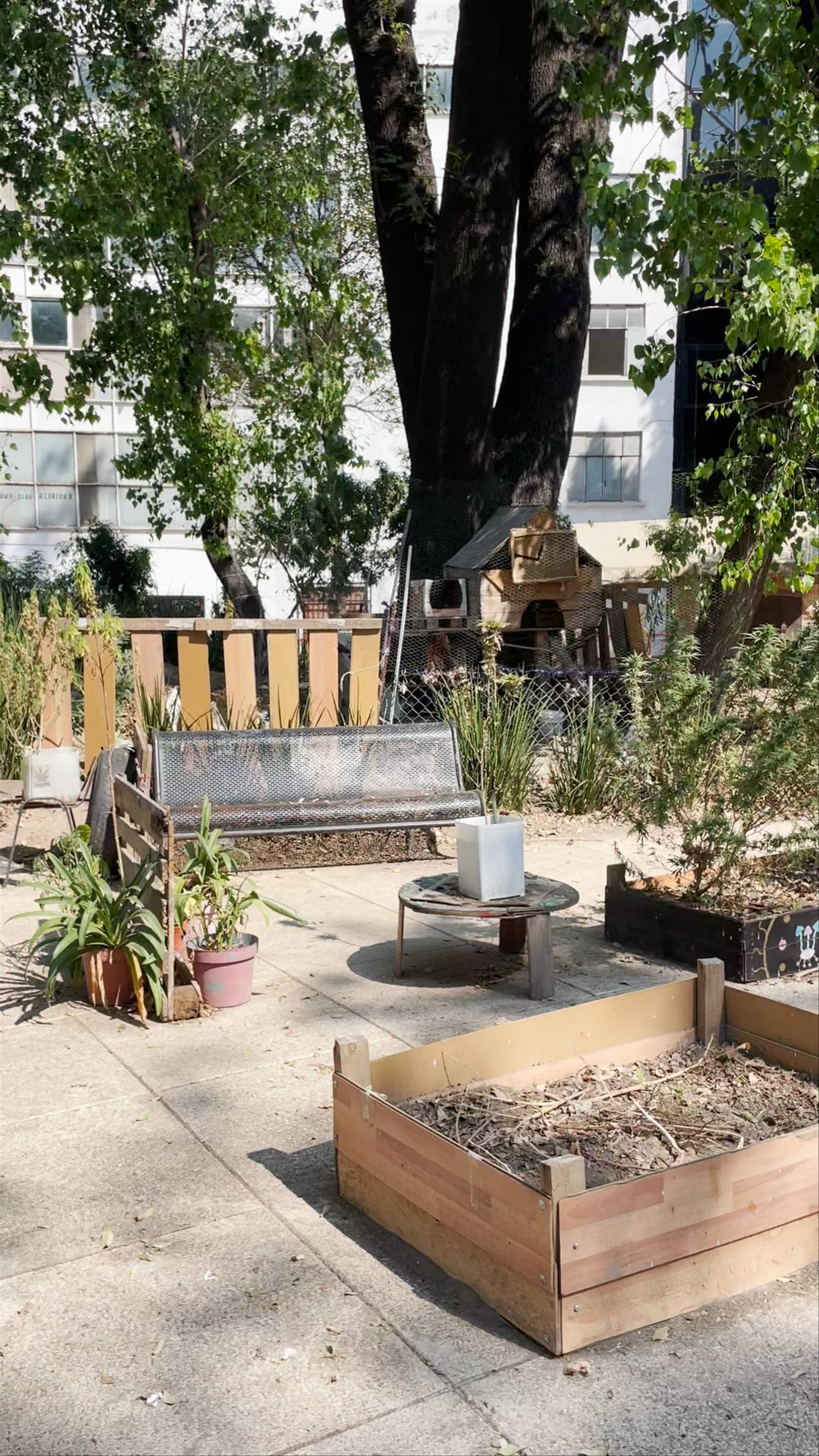Urban Garden Oasis in Juárez, Mexico City